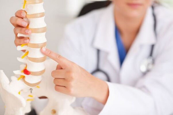 Le médecin montre un modèle de la colonne vertébrale